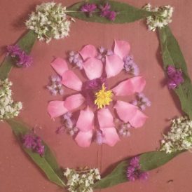 Circle of Flowers Image